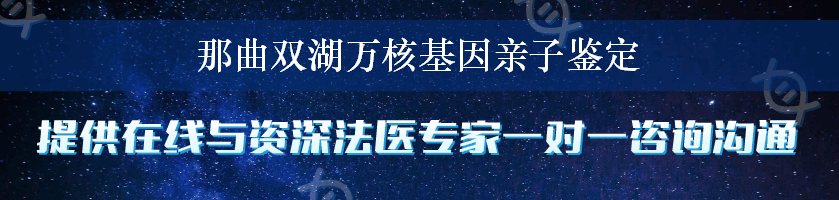 那曲双湖万核基因亲子鉴定